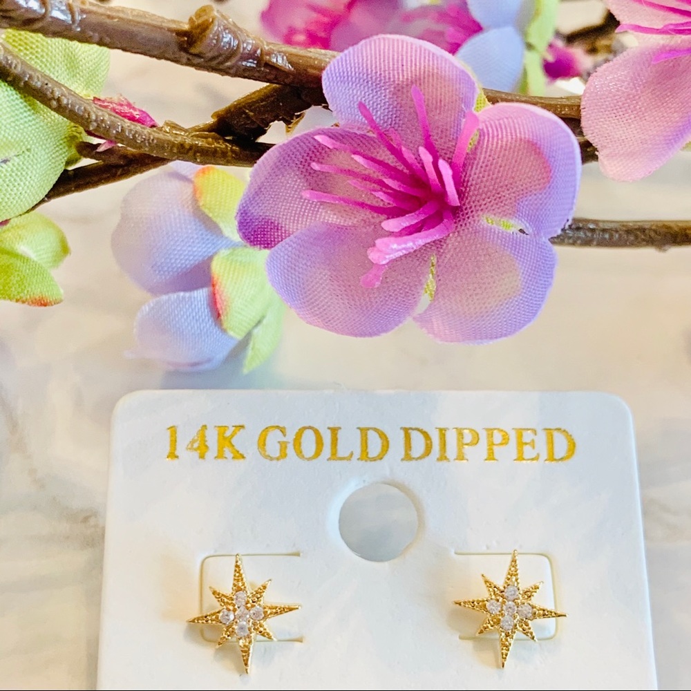 14K Hypoallergenic Cubic Zirconia Star Earrings